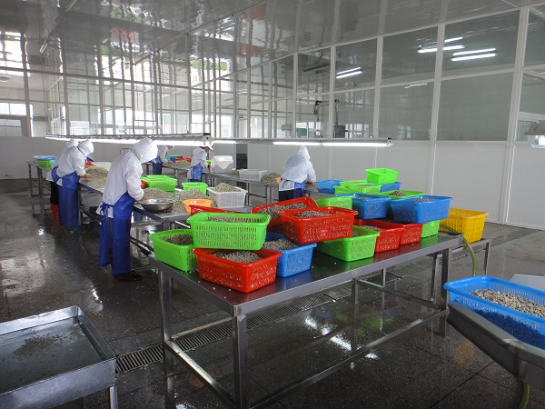 不銹鋼潔凈管道